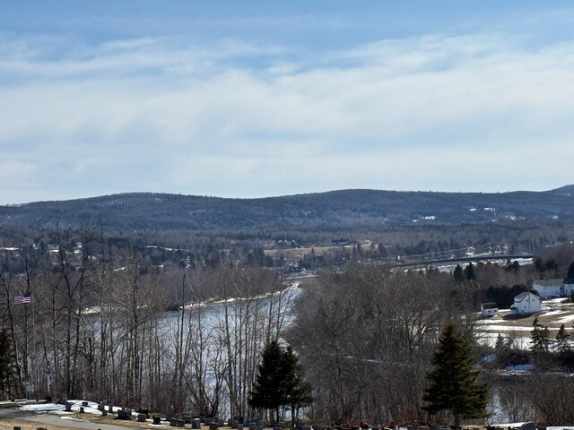 182 E Main St, Fort Kent, ME 04743 - view of mountain backdrop