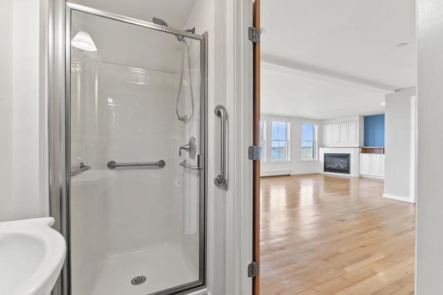 6 Merritt House Rd Unit 20, Harpswell, ME 04066 - bathroom with a stall shower, wood finished floors, and a fireplace