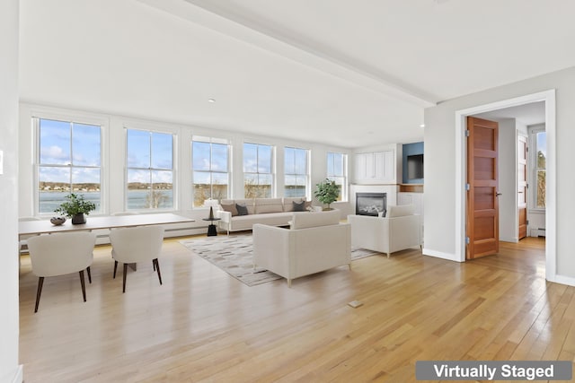6 Merritt House Rd Unit 20, Harpswell, ME 04066 - living room with light wood-type flooring, a glass covered fireplace, a water view, a baseboard heating unit, and baseboards