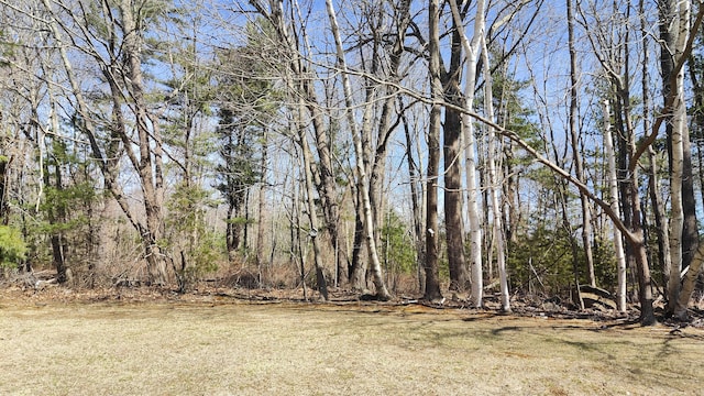 54 Black Smith Rd Unit 13, Wells, ME 04090 - view of nature