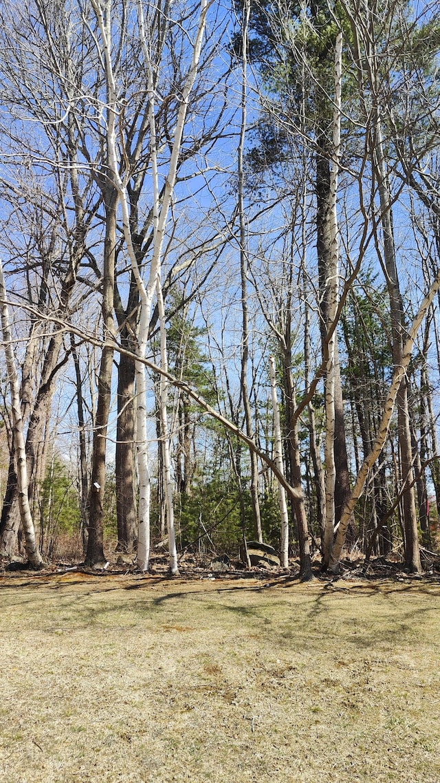 54 Black Smith Rd Unit 13, Wells, ME 04090 - view of yard