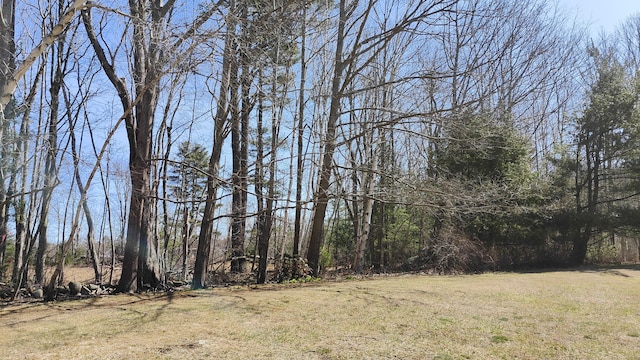 54 Black Smith Rd Unit 13, Wells, ME 04090 - view of yard