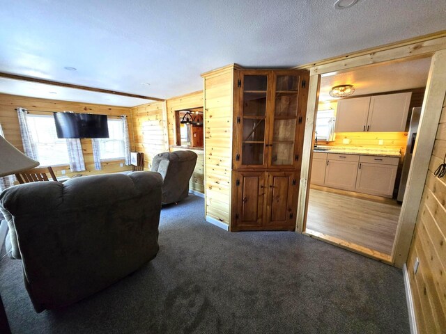 1898 Roxbury Rd, Roxbury, ME 04275 - carpeted living area featuring wood walls, a sink, and a textured ceiling