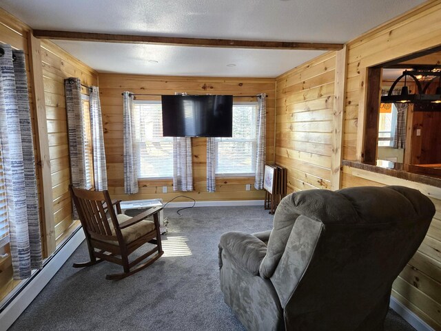 1898 Roxbury Rd, Roxbury, ME 04275 - carpeted living area with wooden walls, beam ceiling, healthy amount of natural light, and a baseboard radiator
