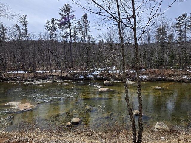 1898 Roxbury Rd, Roxbury, ME 04275 - water view with a forest