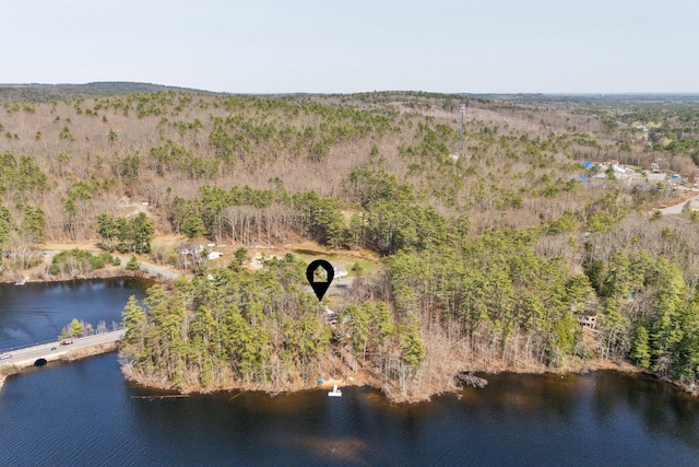 aerial view with a view of trees and a water view