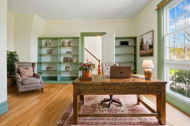 office featuring a wealth of natural light and light wood finished floors