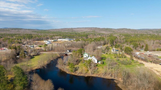 bird's eye view with a view of trees and a water view
