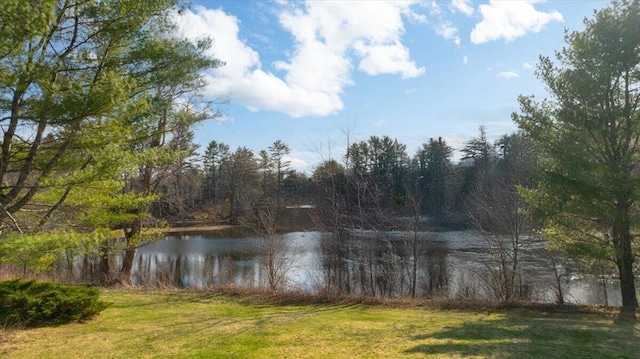 property view of water with a wooded view