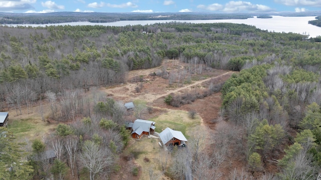 drone / aerial view with a water view and a wooded view