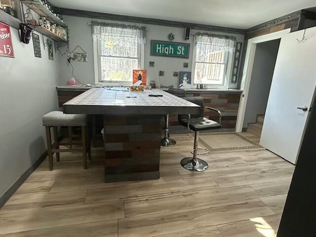 dining area with light wood finished floors and a healthy amount of sunlight
