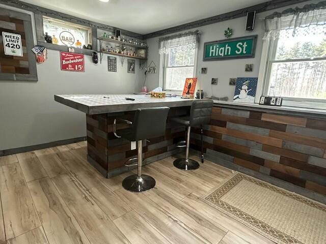 bar featuring wood finished floors and indoor bar