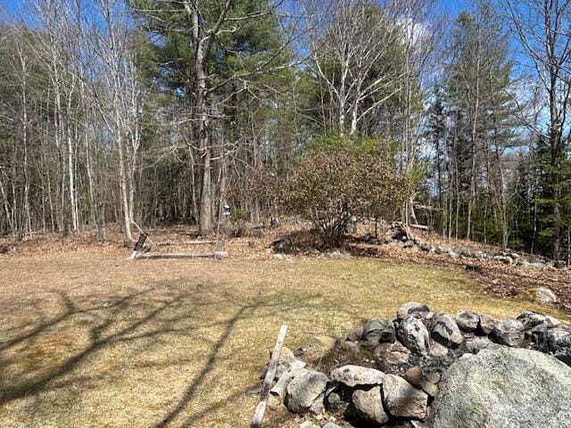 69 Goulds Ridge Rd, Passadumkeag, ME 04475 - view of yard