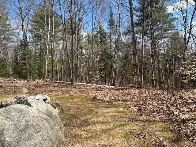 69 Goulds Ridge Rd, Passadumkeag, ME 04475 - view of woods