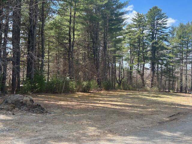 69 Goulds Ridge Rd, Passadumkeag, ME 04475 - view of tree filled area