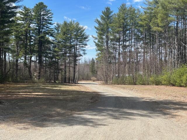 69 Goulds Ridge Rd, Passadumkeag, ME 04475 - view of dirt / gravel road featuring a view of trees