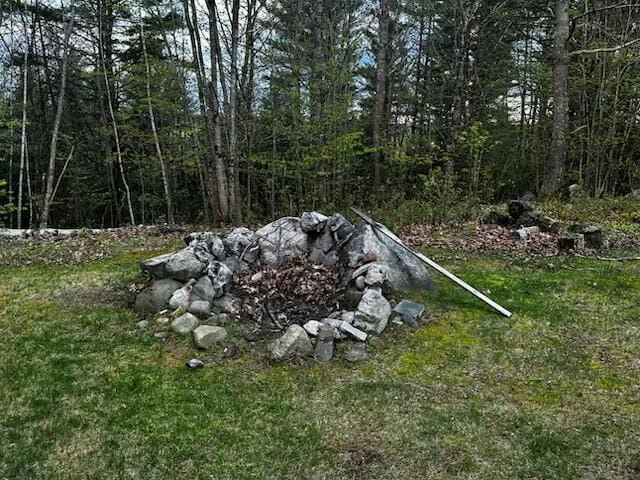 69 Goulds Ridge Rd, Passadumkeag, ME 04475 - view of yard