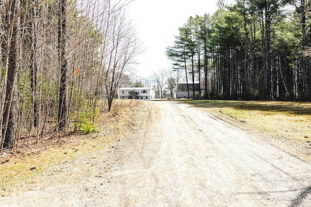 69 Goulds Ridge Rd, Passadumkeag, ME 04475 - view of dirt / gravel driveway