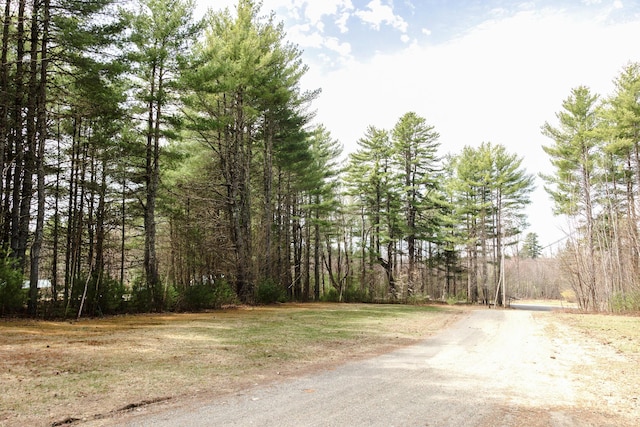 69 Goulds Ridge Rd, Passadumkeag, ME 04475 - view of road featuring a view of trees
