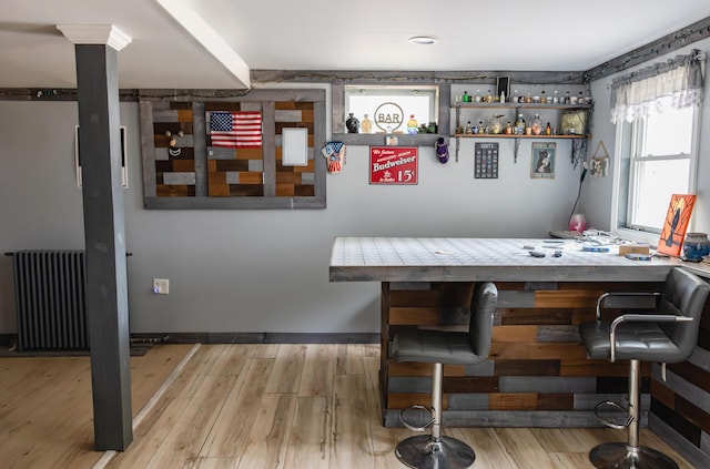 69 Goulds Ridge Rd, Passadumkeag, ME 04475 - dining space featuring radiator and light wood-style floors