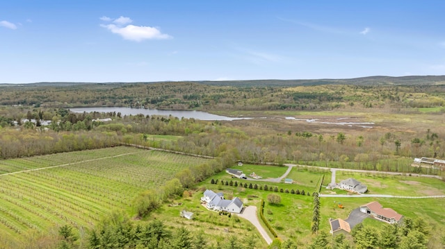 30 Apple Hill Vw, Alfred, ME 04002 - view of rural area featuring a nearby body of water and a heavily wooded area