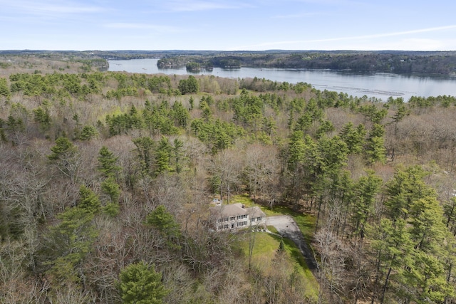 bird's eye view of a nearby body of water and a forest