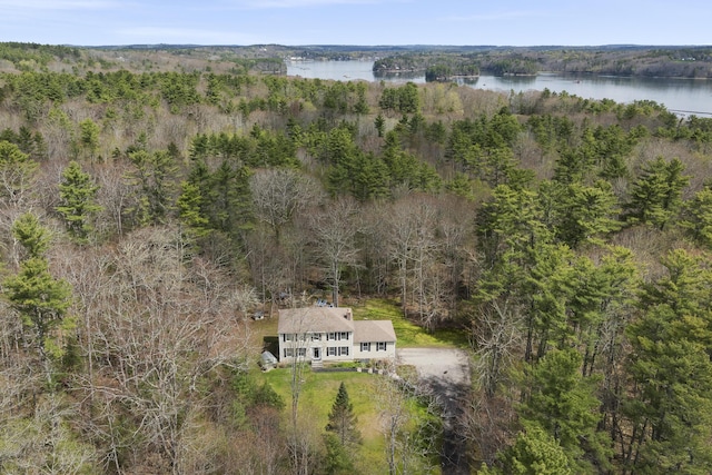 view of subject property featuring a large body of water and a forest
