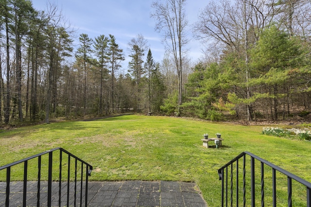 view of grassy yard