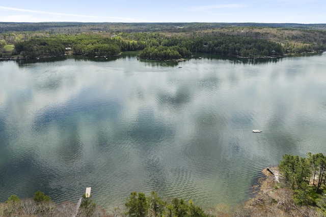 water view featuring a heavily wooded area