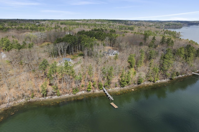 view of property location with a large body of water and a forest