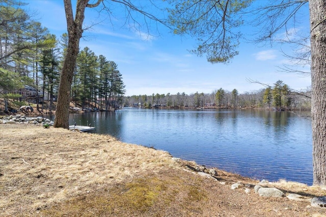 148 Anglers Rd, Windham, ME 04062 - property view of water featuring a view of trees