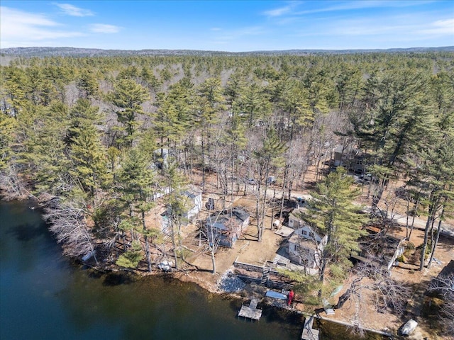 148 Anglers Rd, Windham, ME 04062 - aerial view with a view of trees and a water view