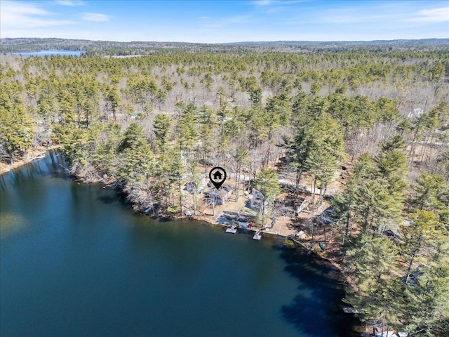 148 Anglers Rd, Windham, ME 04062 - drone / aerial view with a wooded view and a water view