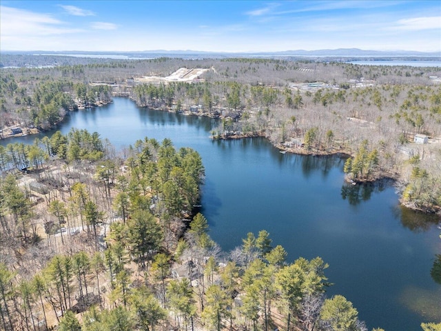 148 Anglers Rd, Windham, ME 04062 - bird's eye view featuring a water and mountain view and a forest view