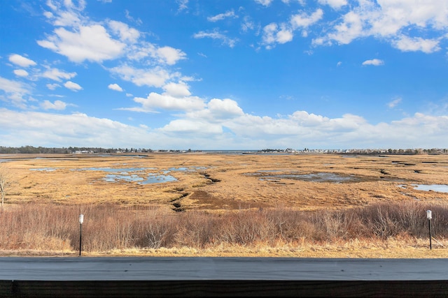 view of yard featuring a rural view