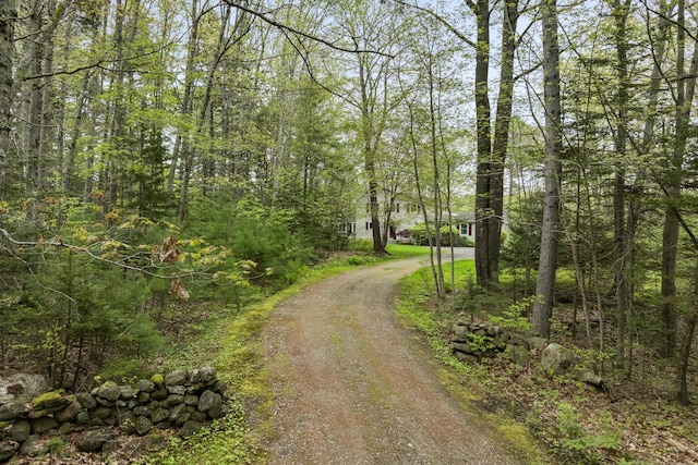 175 Quail Run Rd, Bristol, ME 04539 - view of dirt / gravel road with a wooded view