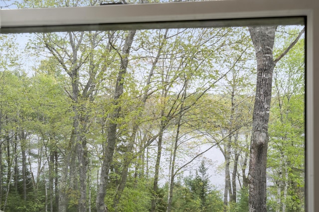 175 Quail Run Rd, Bristol, ME 04539 - water view featuring a heavily wooded area