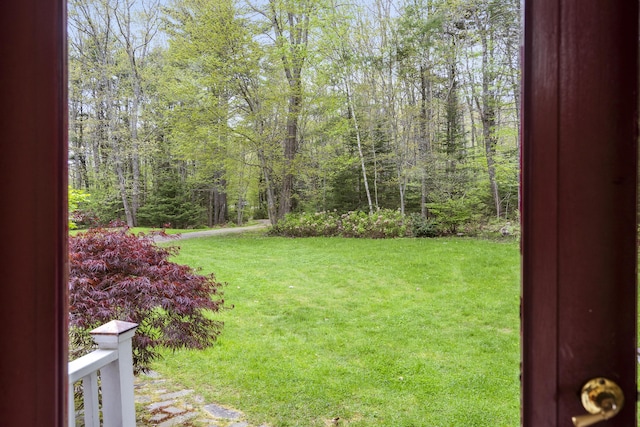 175 Quail Run Rd, Bristol, ME 04539 - view of green lawn featuring a view of trees