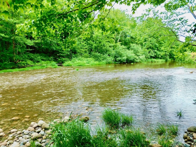 346 Bear River Rd, Newry, ME 04261 - water view featuring a heavily wooded area