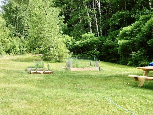 346 Bear River Rd, Newry, ME 04261 - view of green lawn featuring a vegetable garden