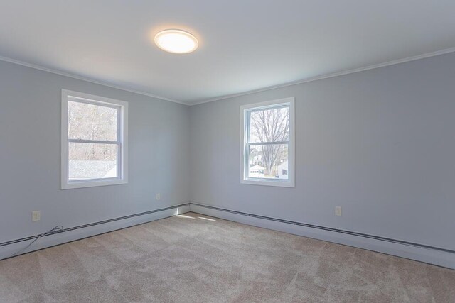 spare room with a wealth of natural light, ornamental molding, and carpet flooring