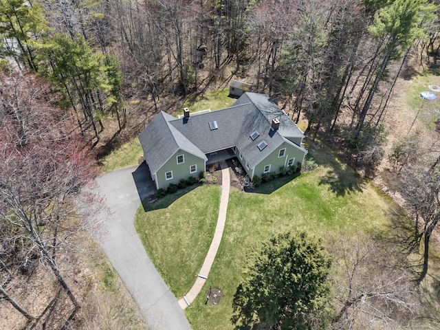 drone / aerial view