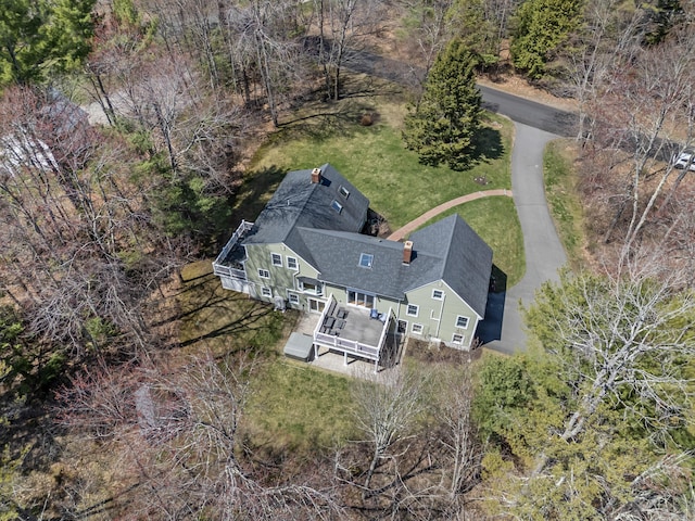 drone / aerial view