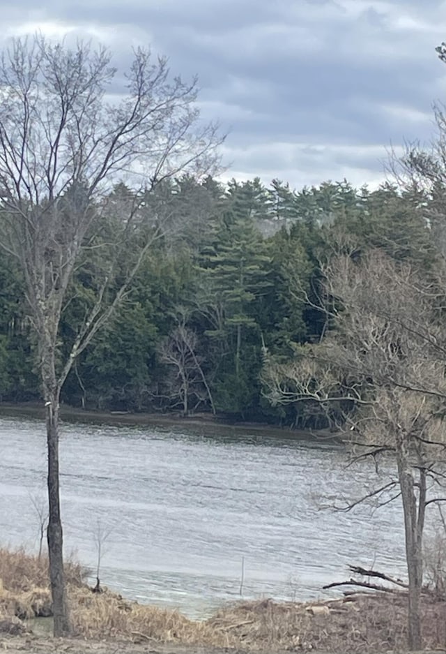 water view with a forest