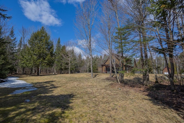 8 Sunset Ln, Kingfield, ME 04947 - view of yard