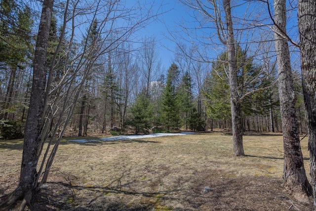 8 Sunset Ln, Kingfield, ME 04947 - view of yard featuring a wooded view