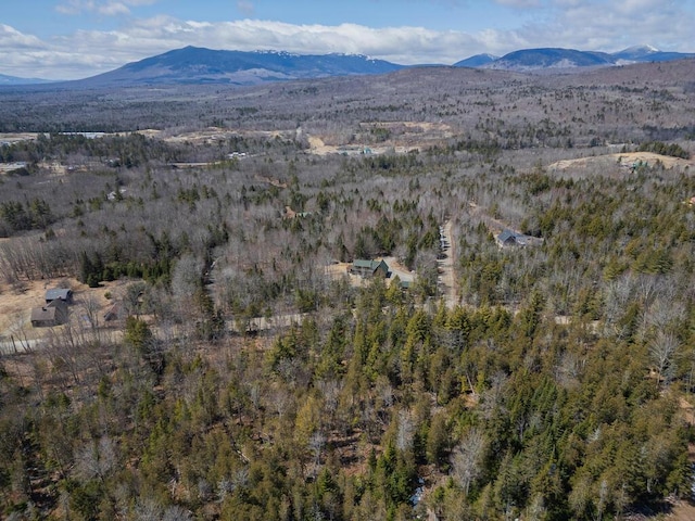 8 Sunset Ln, Kingfield, ME 04947 - mountain view featuring a wooded view