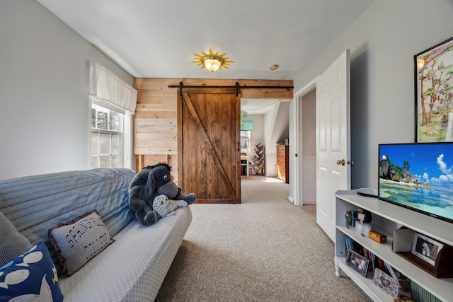 390 Castine Rd, Castine, ME 04421 - carpeted living room featuring healthy amount of natural light and a barn door