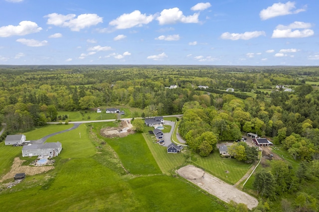 17 Wadlin Rd, Biddeford, ME 04005 - aerial overview of property's location with a heavily wooded area