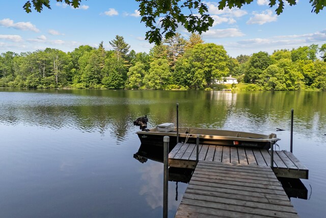 106 Frost Dr, Monmouth, ME 04259 - photo 1